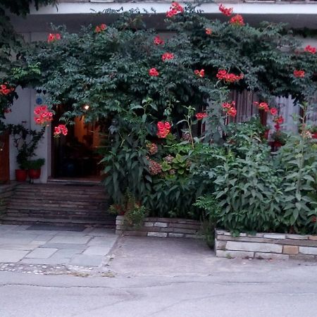 Katerina Hotel Horeftó Kültér fotó
